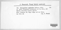 Image Associated With the Occurence